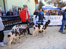 2019_ausstellung polling_686